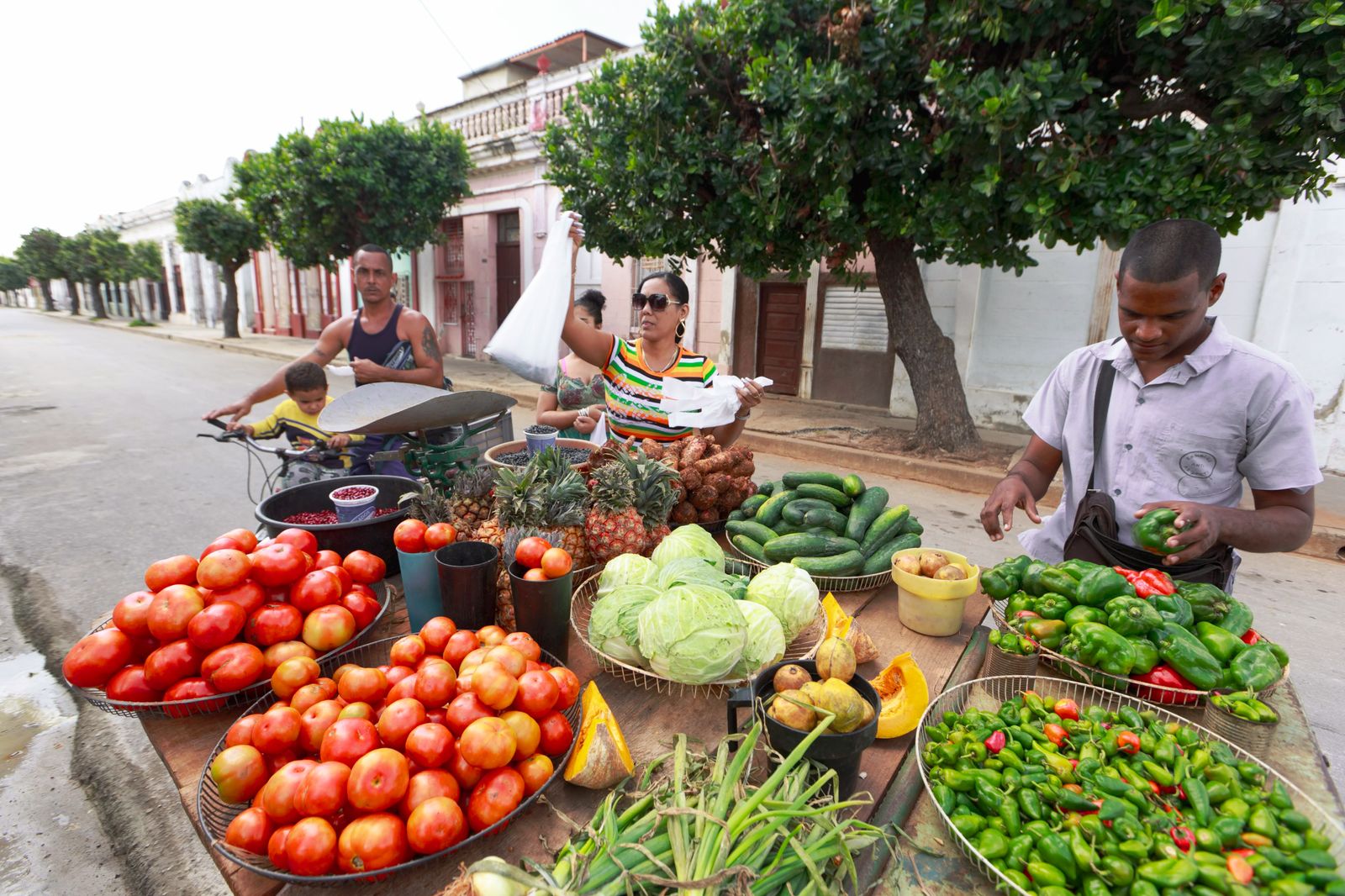 Fresh produce displayed at a market